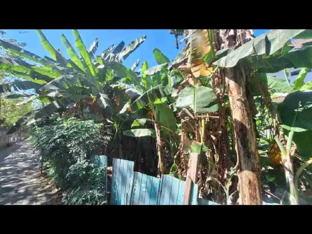 Dijual tanah di Wisma Tropodo