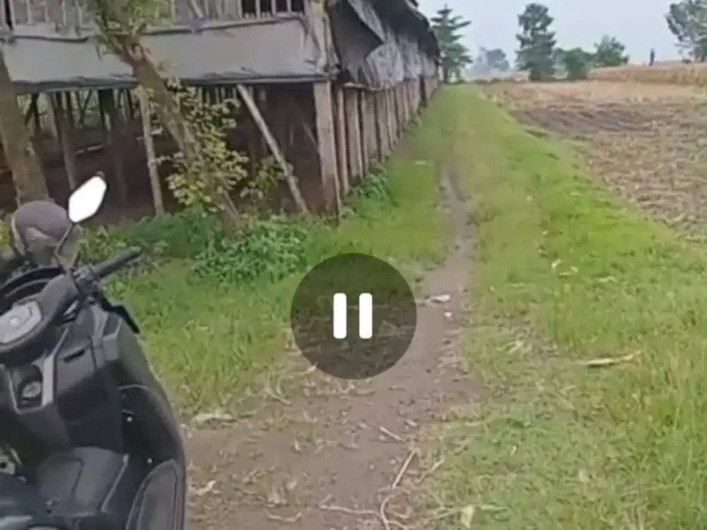 Dijual tanah ada kandang/ peternakan ayam Gudo, Jombang