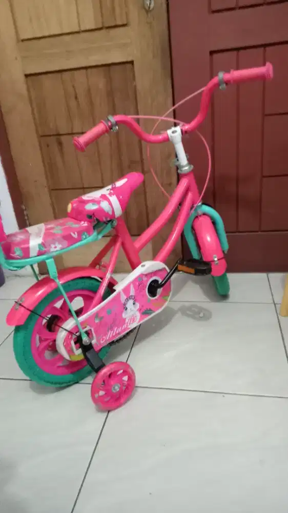 Sepeda Anak Perempuan