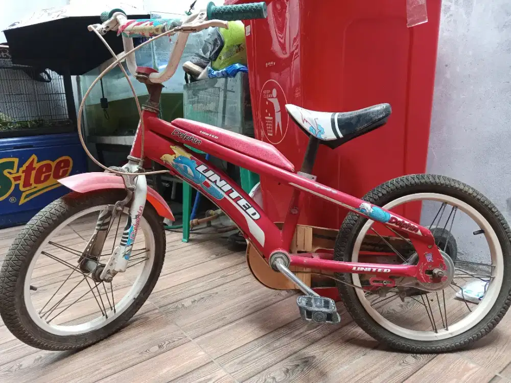 Sepeda anak united 18