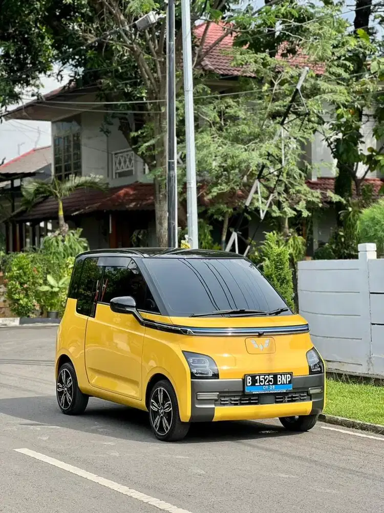 Wulling Air Ev 2013 Long Range