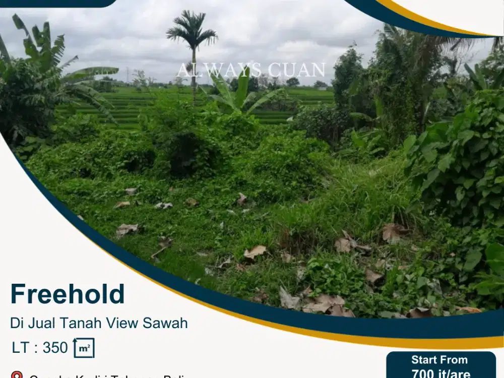 Tanah Di Jual View Sawah