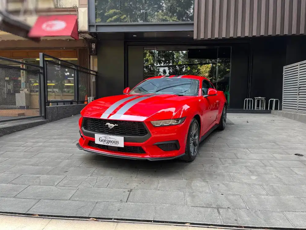 Ford Mustang Ecoboost Nik 2025