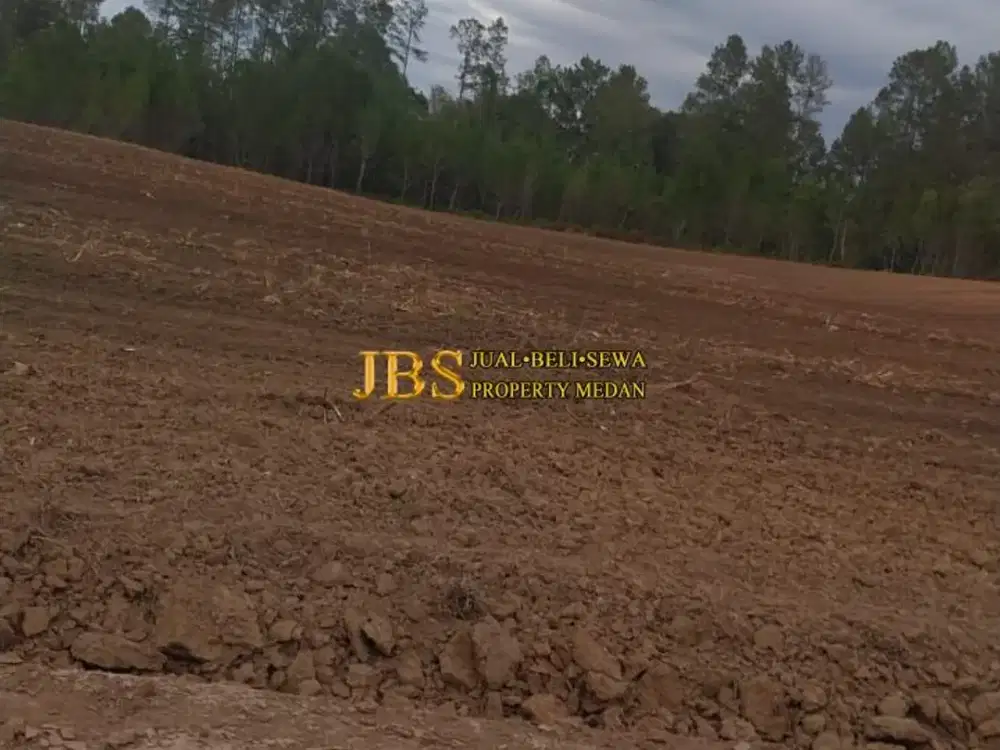 Dijual Tanah Kosong di Desa Parbaba/Martoba Kab. Samosir