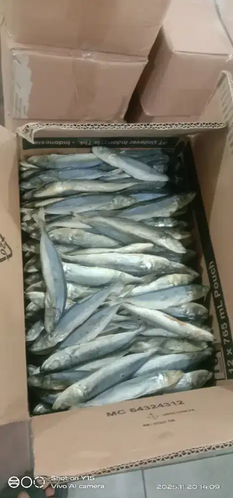 Aneka ikan asin harga paling murah