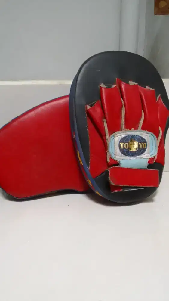 Bantalan Tinju / Target Pad
