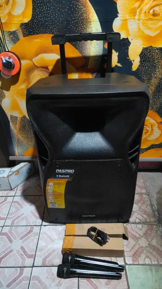 Salon portable polytron paspro15f5