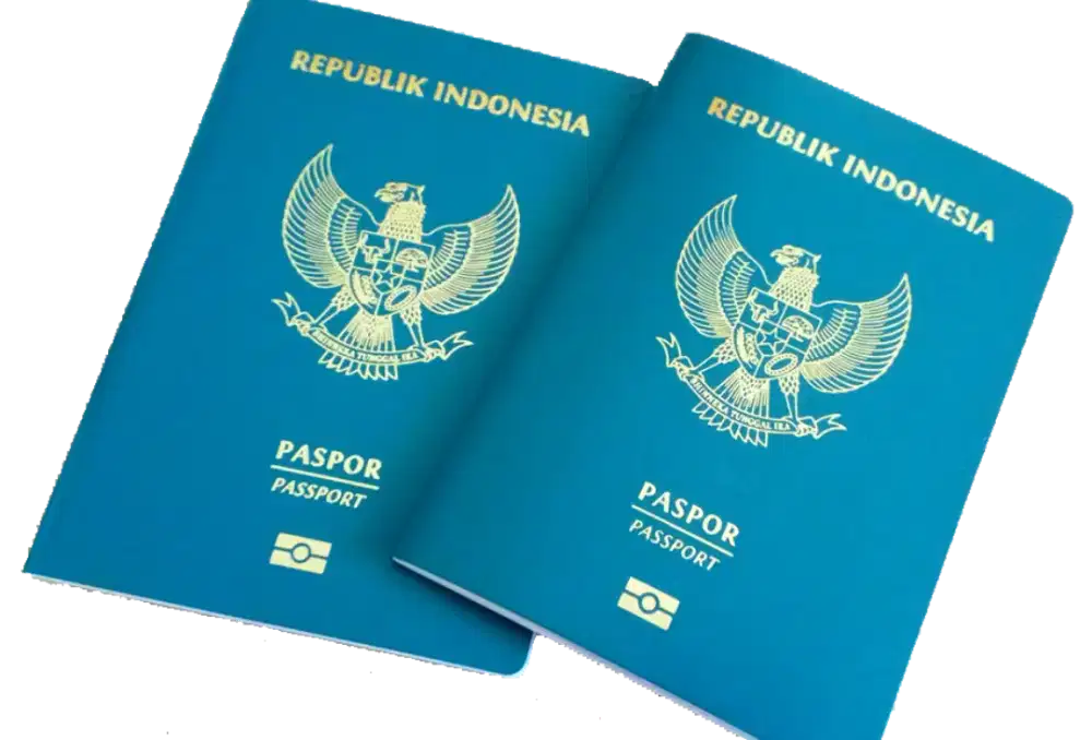 Paspor dan Visa Kunjungan