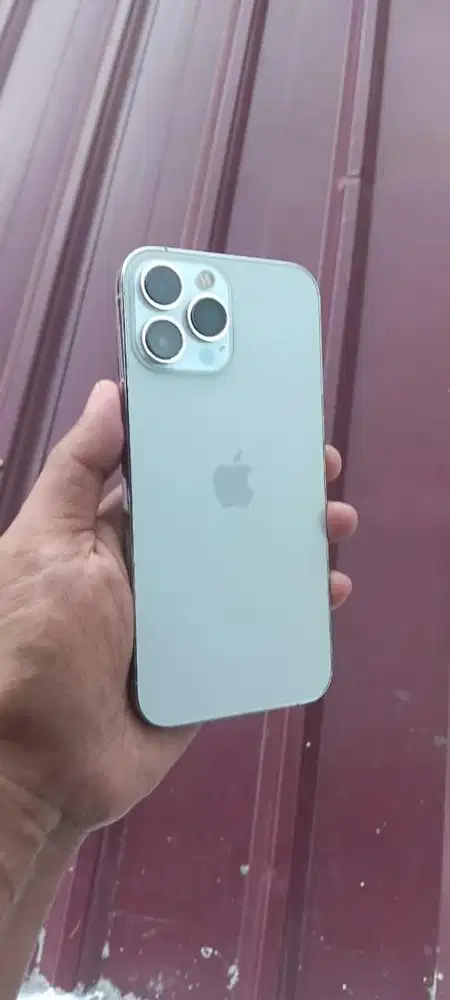 Iphone 13 Pro Max 1 TB