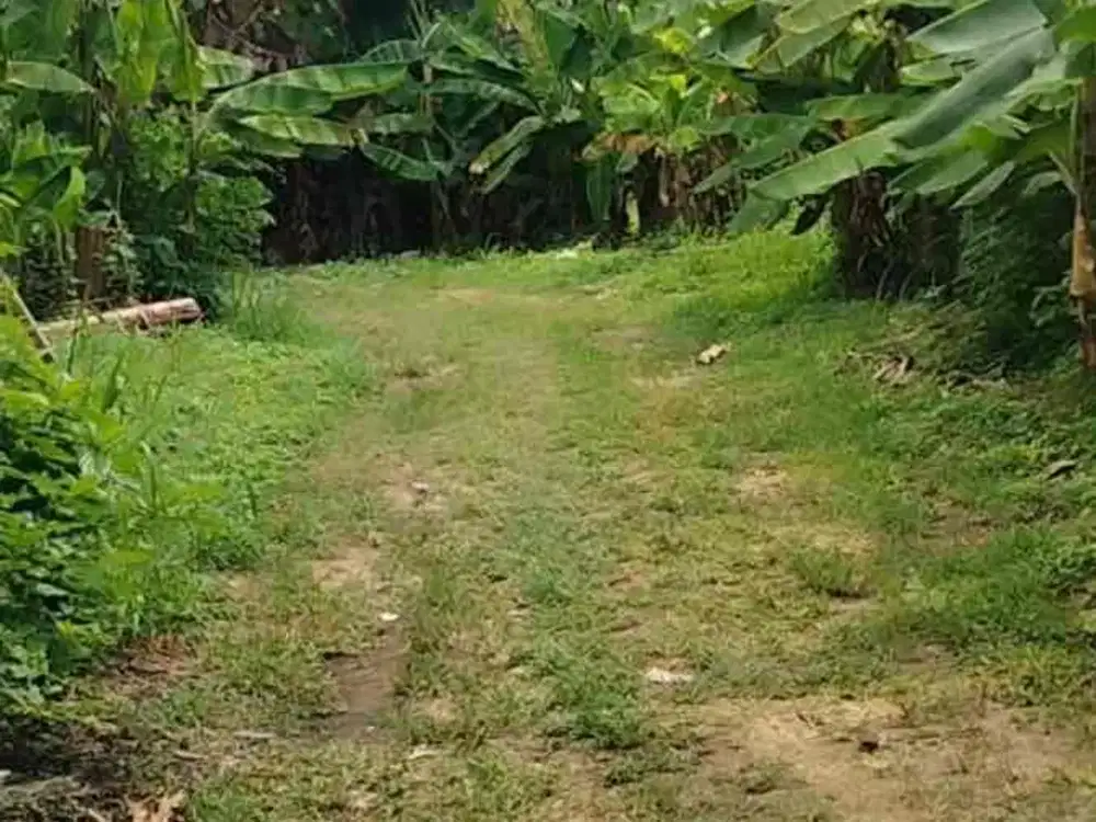 Tanah Terluas dan Terbesar di Kemang Timur 1.9 Hektar