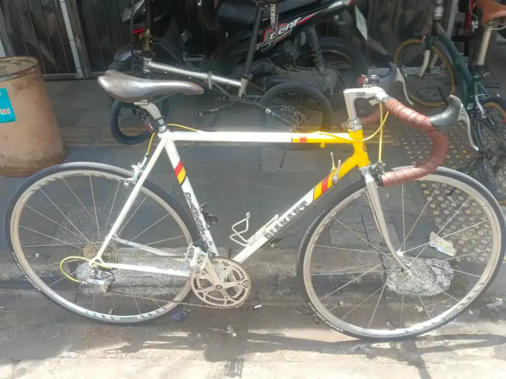 Sepeda Diamant Mulus