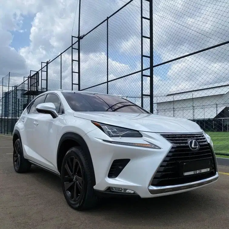 Lexus NX300 2018