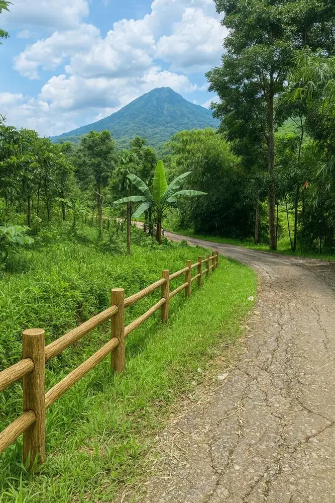 Tanah 6500m² Jonggol • Muka 50m • Rp200rb/m² Nego • Proses SHM