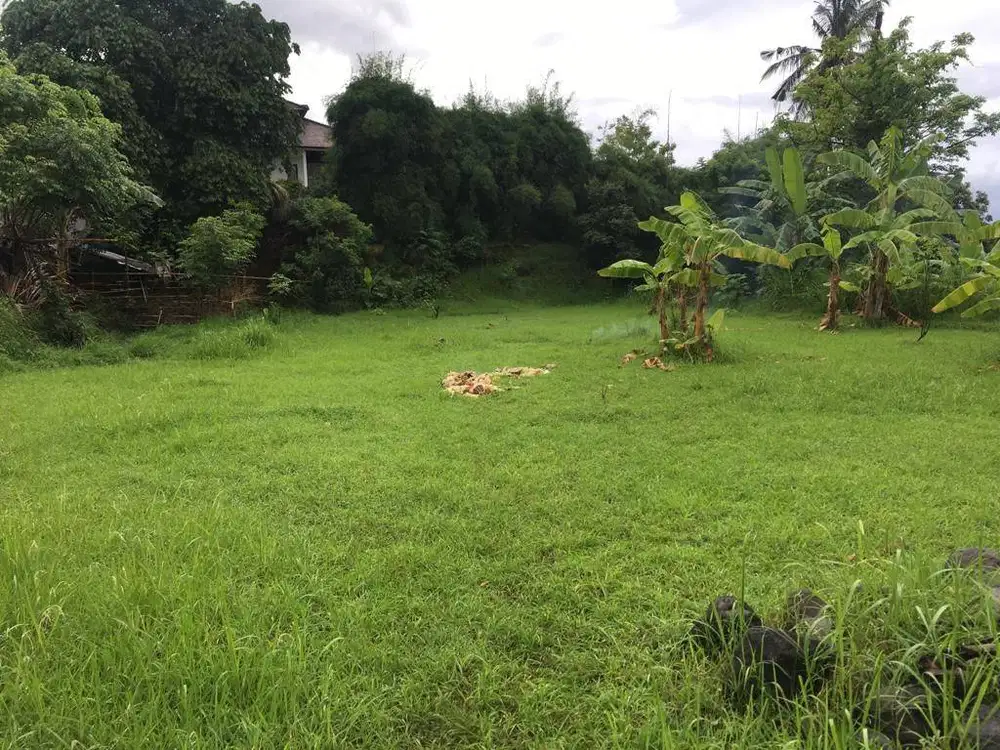 Dijual tanah di Lovina (Desa Selat) 7.8 Are dengan view sawah & laut