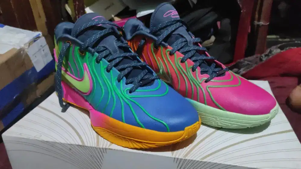 LeBron 21 Multicolor