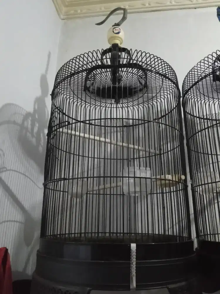 Kurung besi diameter 39