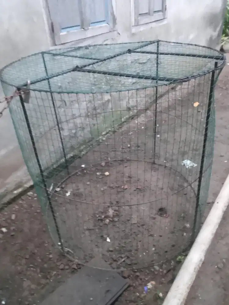 Jual satu buah songkok ayam ukuran jumbo