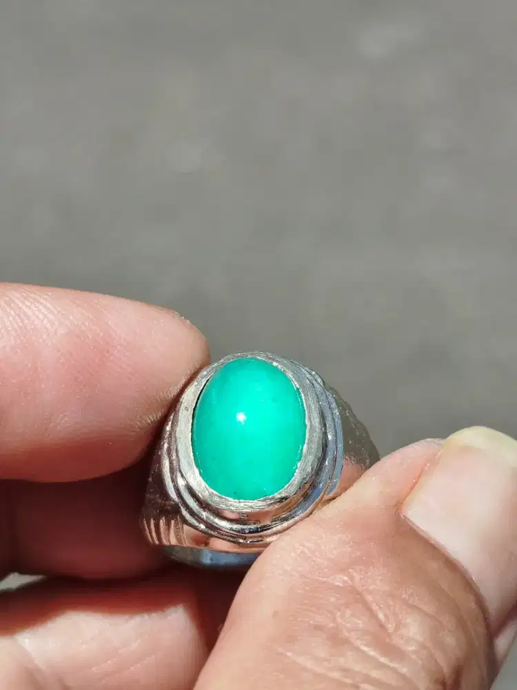 BACAN PALMEA GIWANG CLEAN