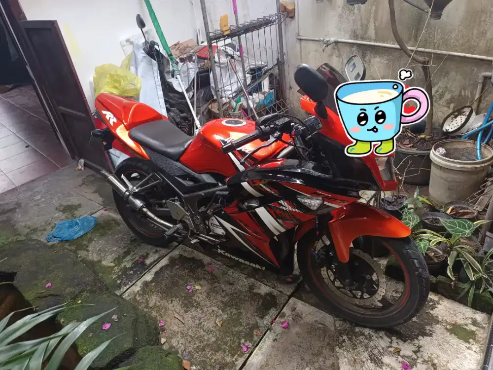 Kawasaki Ninja RR SE