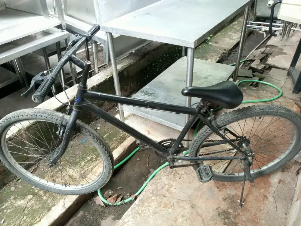 Sepeda dewasa warna hitam