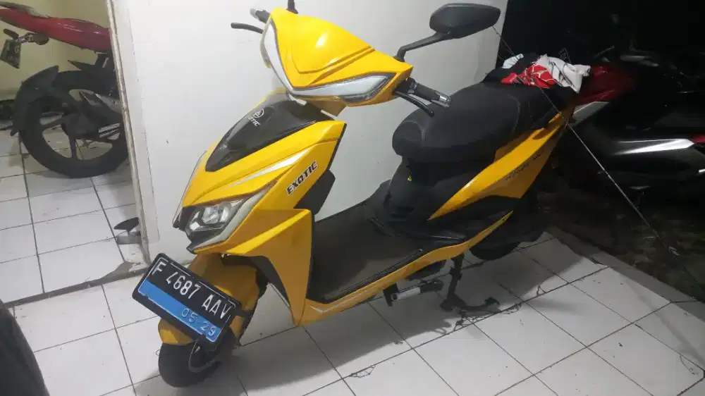 Molis exotice mizone bisa tuker tambah