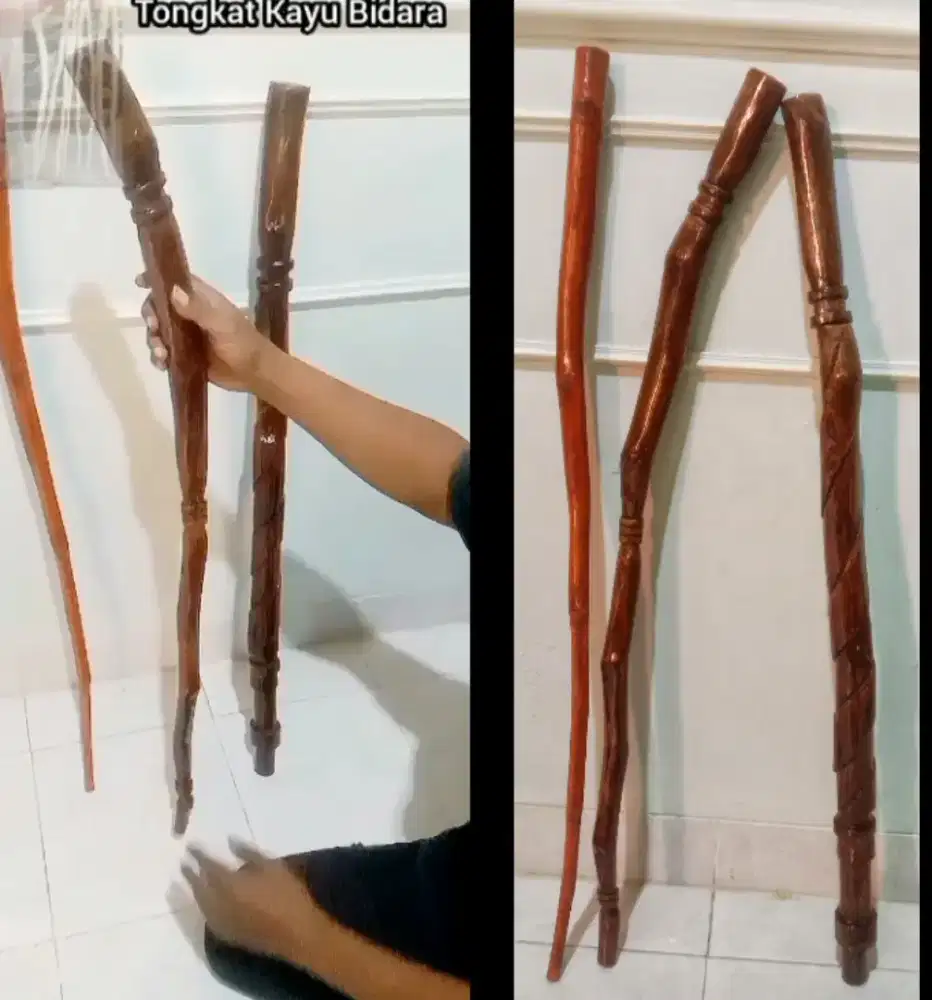 Tongkat kayu Bidara