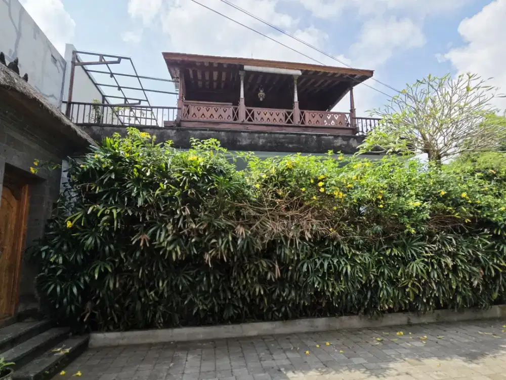 Villa Classic singapadu ubud Bali