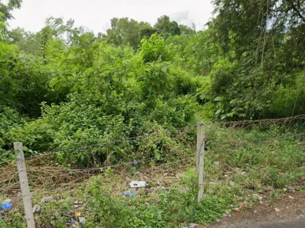 Tanah Di Dewakan Luasan Besar Jimbaran Bali