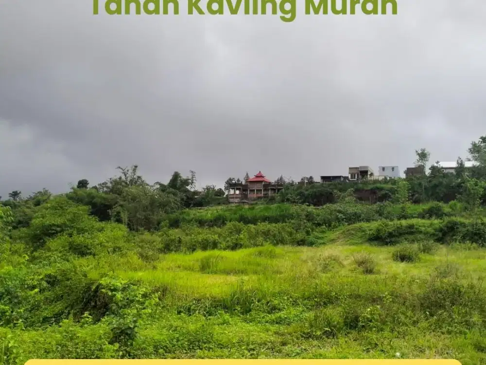 Tanah Murah Wagir – Cocok Hunian, Lingkungan Asri