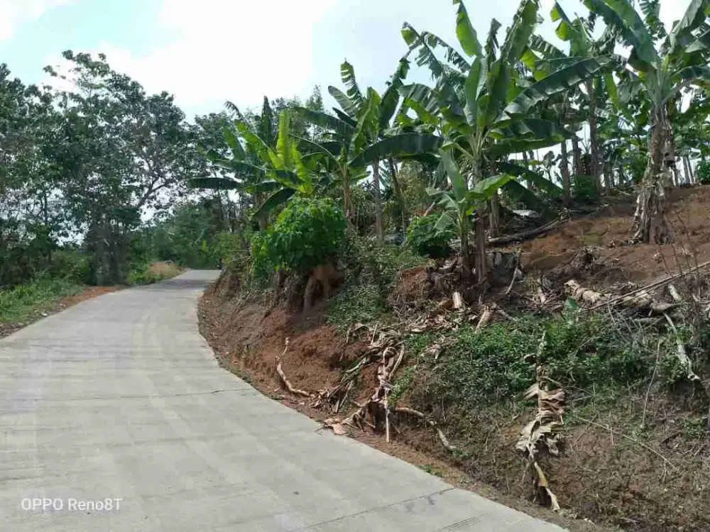 Tanah kavling Di Puncak 2 Bogor Timur