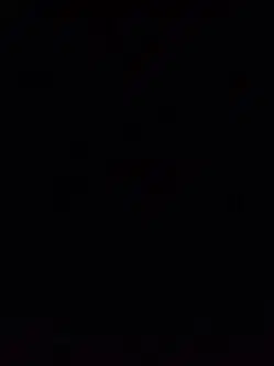 Supir Pribadi Bintaro