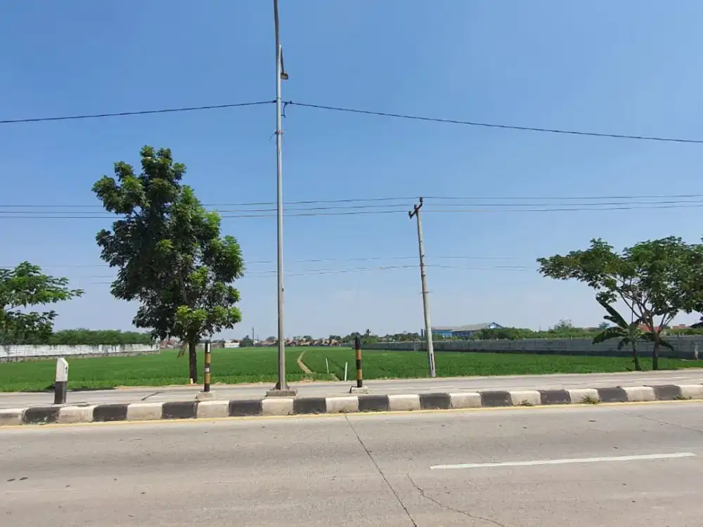 Tanah Dijual Raya Tanjung Pura, Karawang Barat Luas 57,508