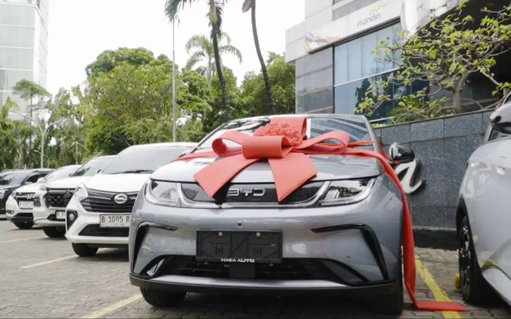 BYD Dolpin Dynamic Standard