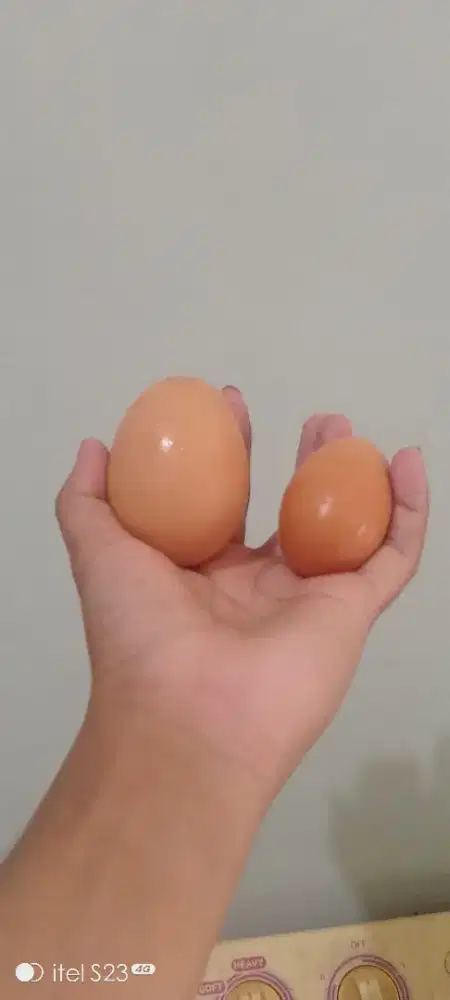 Telur unik.. telur ayam ukuran jumbo/besar/tidak lazim