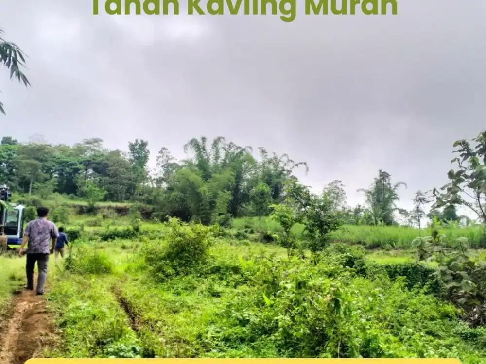 Dijual Tanah Wagir – Akses Mudah ke Kota Malang