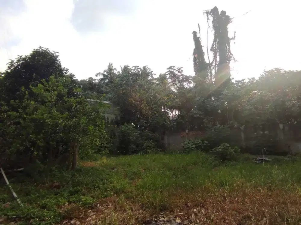 Dijual murah tanah Luas di pinggir jalan Margonda  dibawah NJOP, Harga sdh termasuk PPN+BPHTB+Biaya Notaris