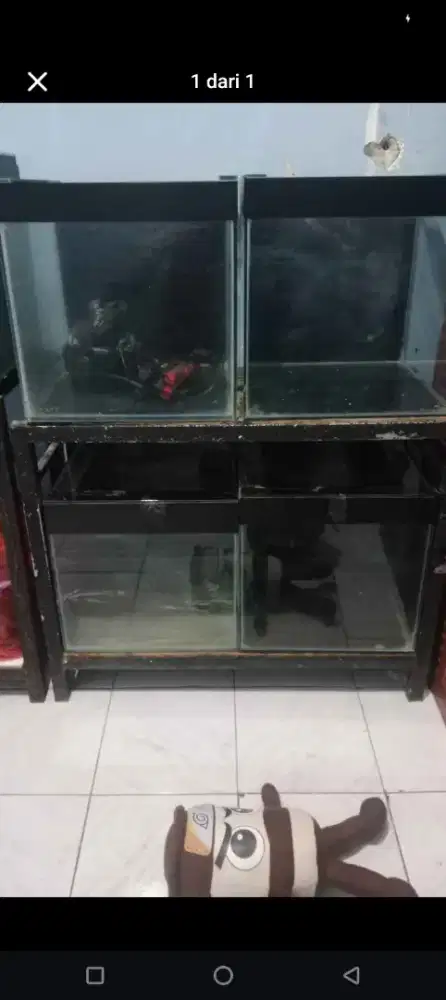 Aquarium custom