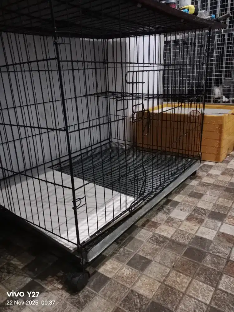 KANDANG JUMBO KUCING MUSANG ANJING AYAM