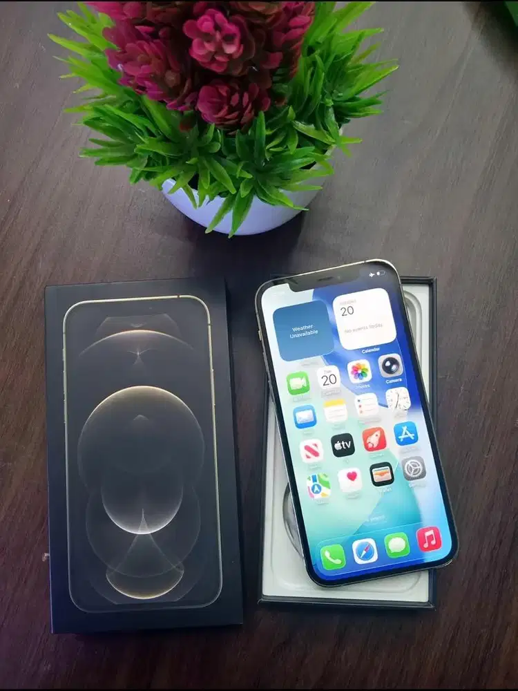 Iphone 12 Pro Gold 128GB Ex Ibox PA/A