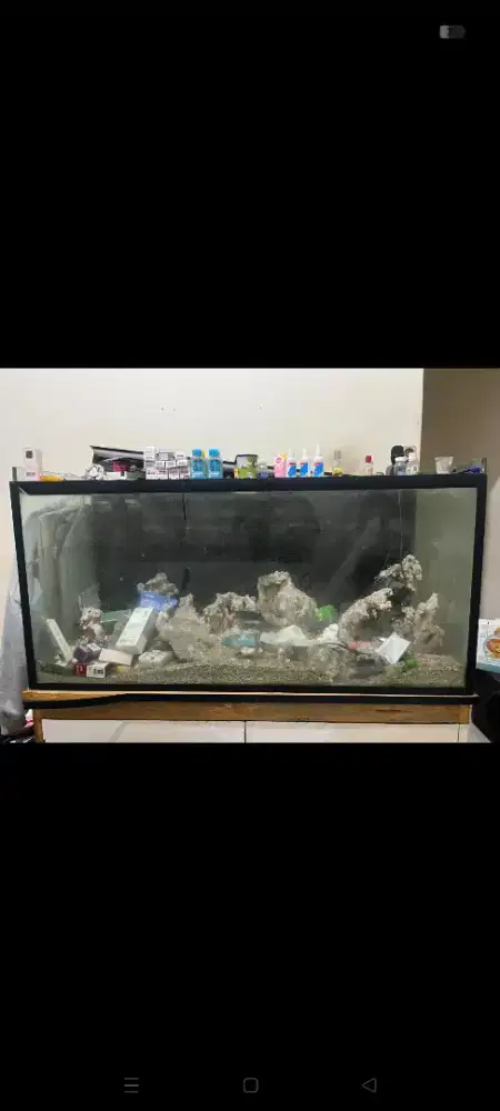 Jual Aquarium bekas Ikan Laut