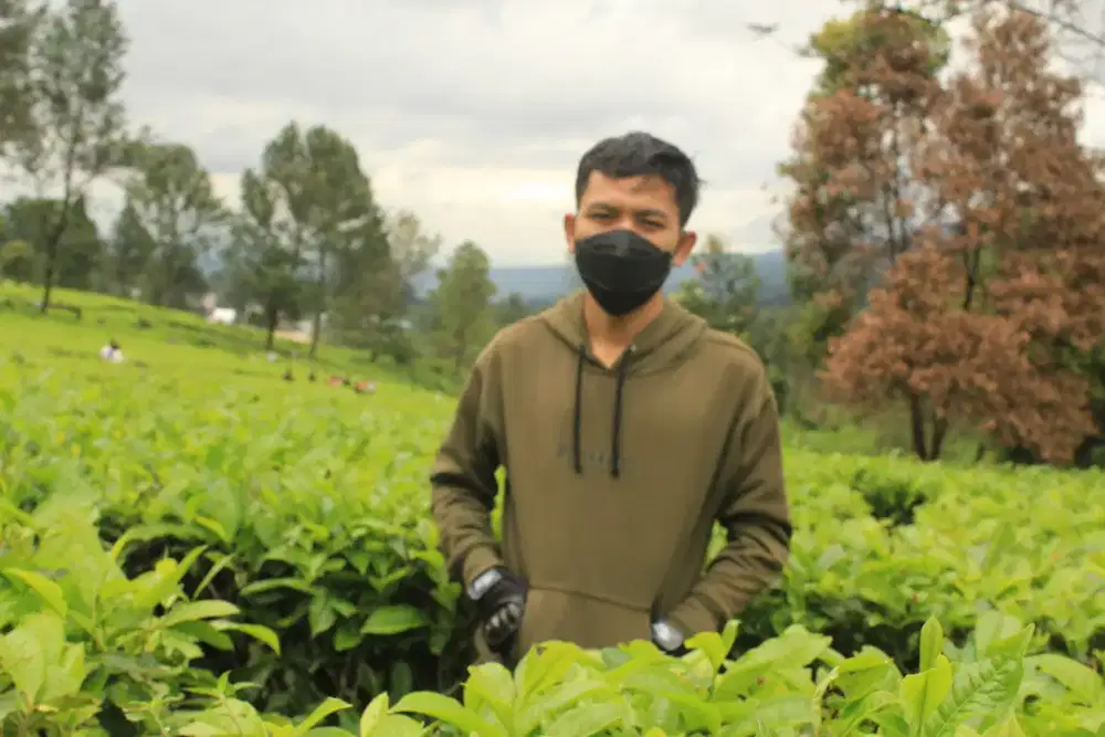 mencari kerjaan driver pribadi