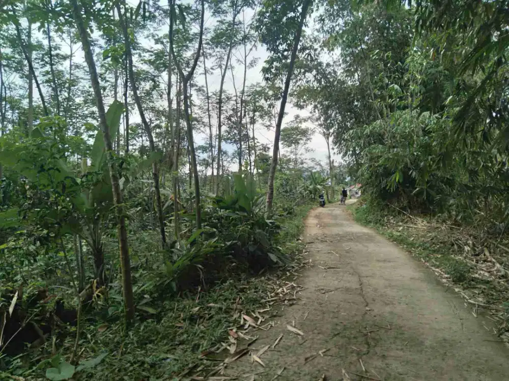 jual tanah murah LT 1100m², girik,  akses jalan desa