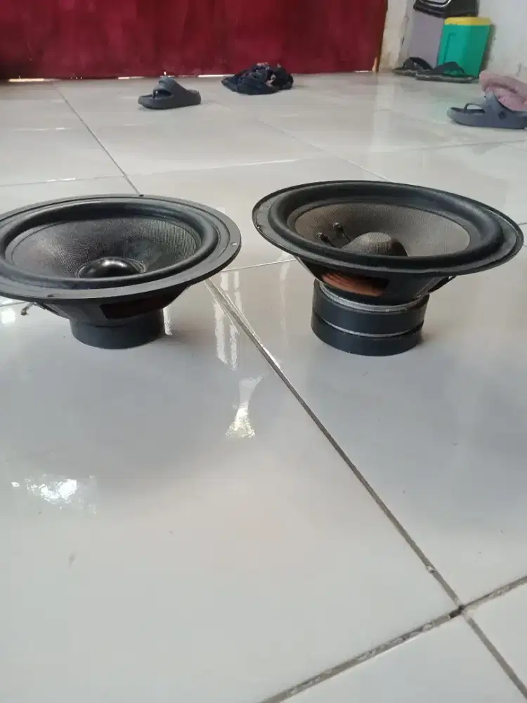 Speaker BM 88 wat 400 dan yg bisa ukuran 8 inch murah