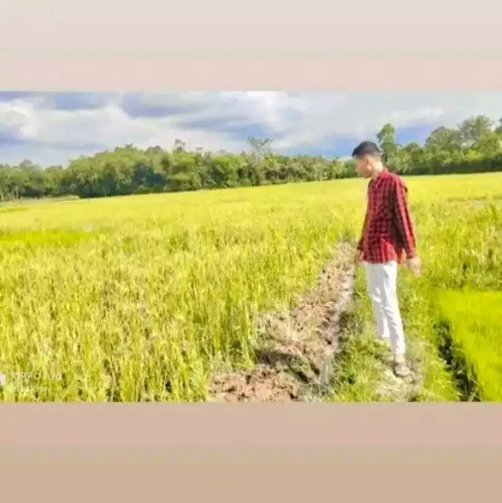 Driver supir pribadi