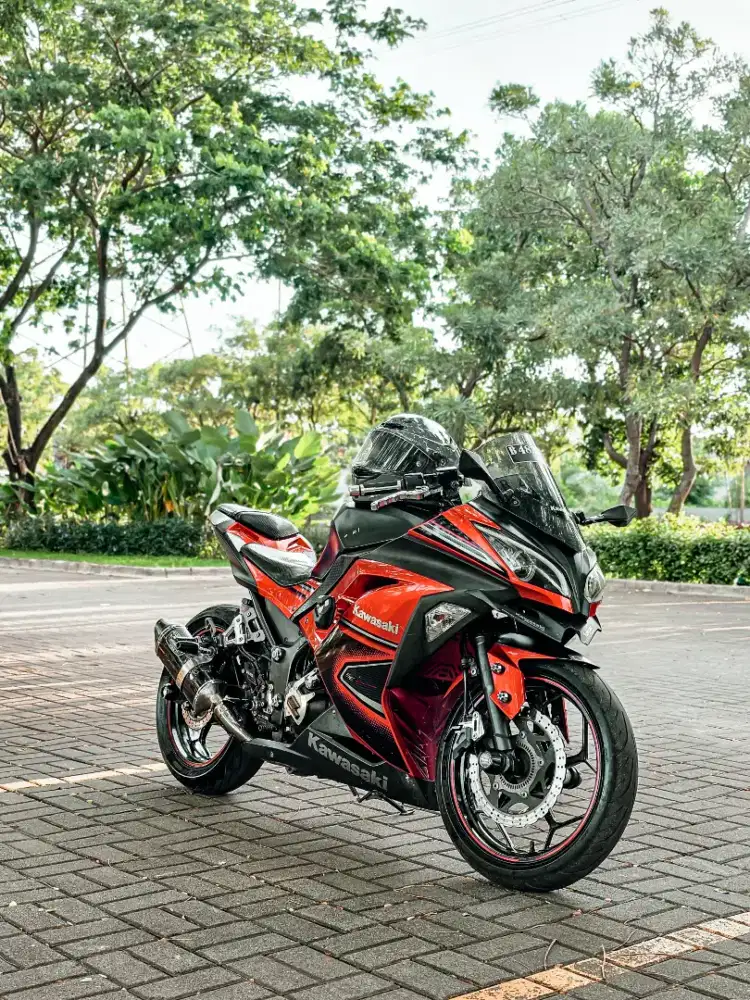 NINJA 250 ABS FI 2013 MODIF HEDON