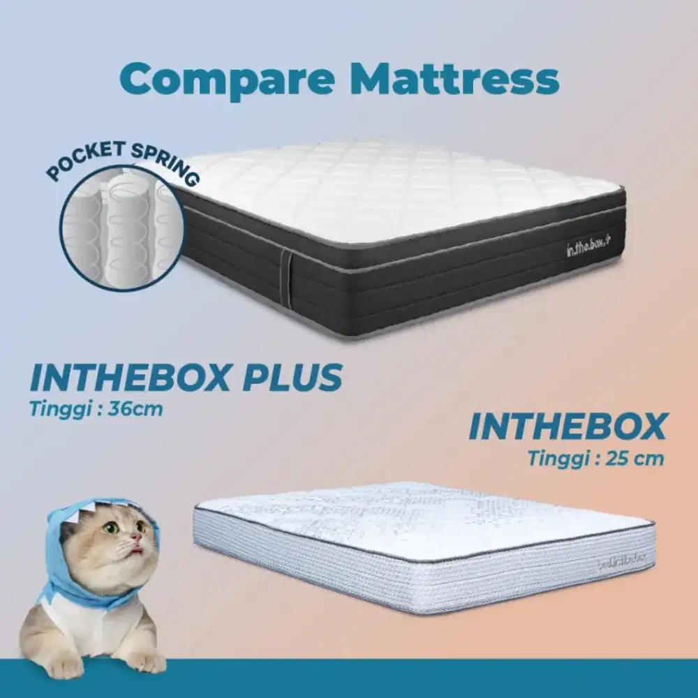 Kasur Tidur INTHE BOX PLUS 200x200