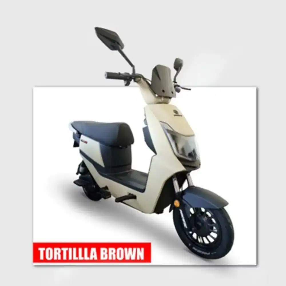 SEPEDA LISTRIK PACIFIC BLIZZARD 2.0 (LITH)