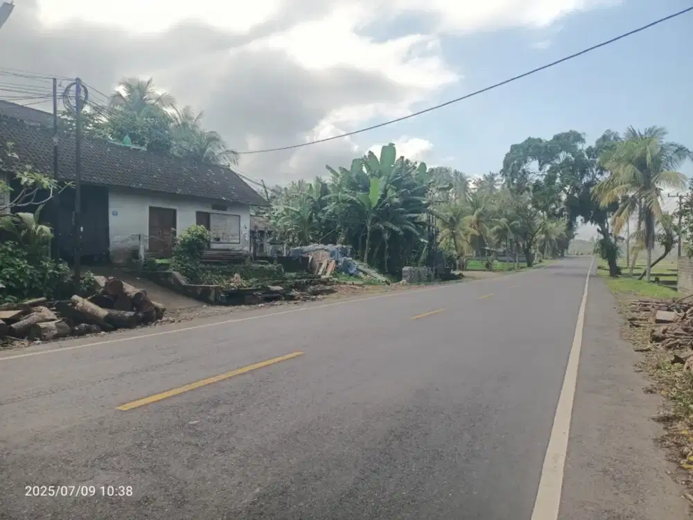 Tanah di Selabih Tabanan Pinggir Jalan Denpasar Gilimanuk