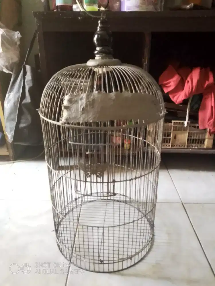 Kandang lb lumayan di BSD