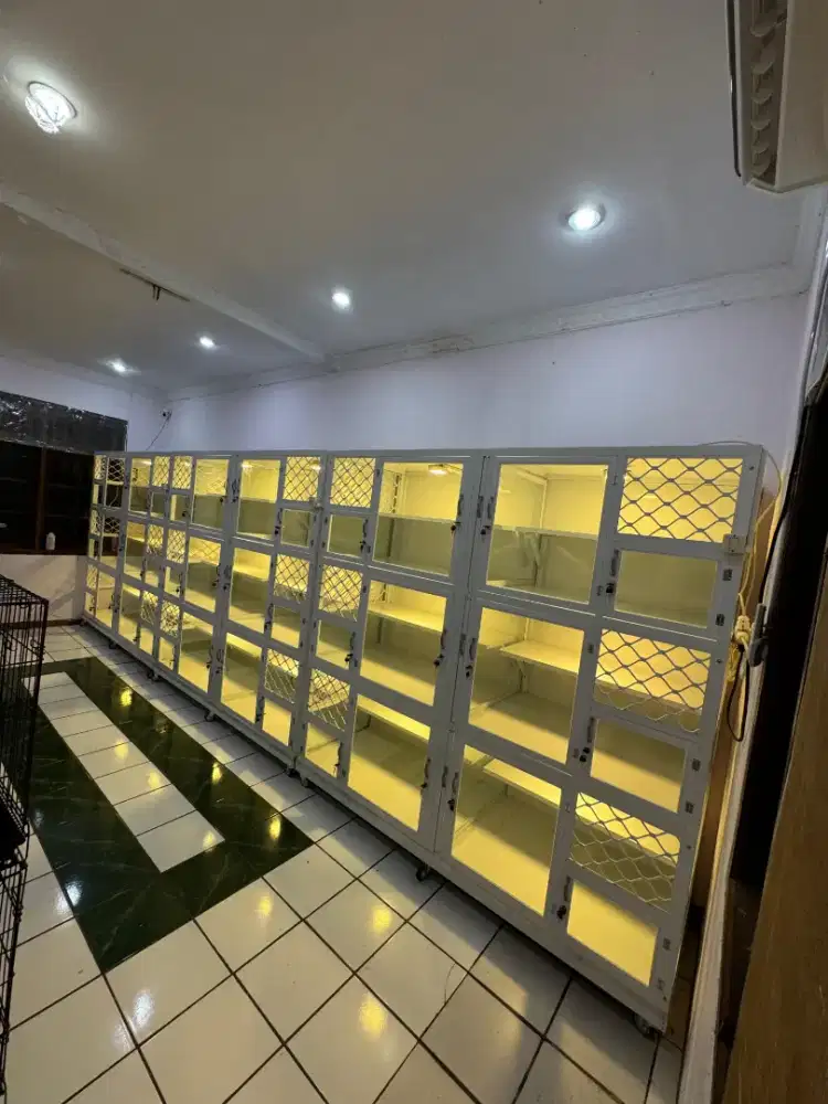 Penitipan hewan peliharaan kucing